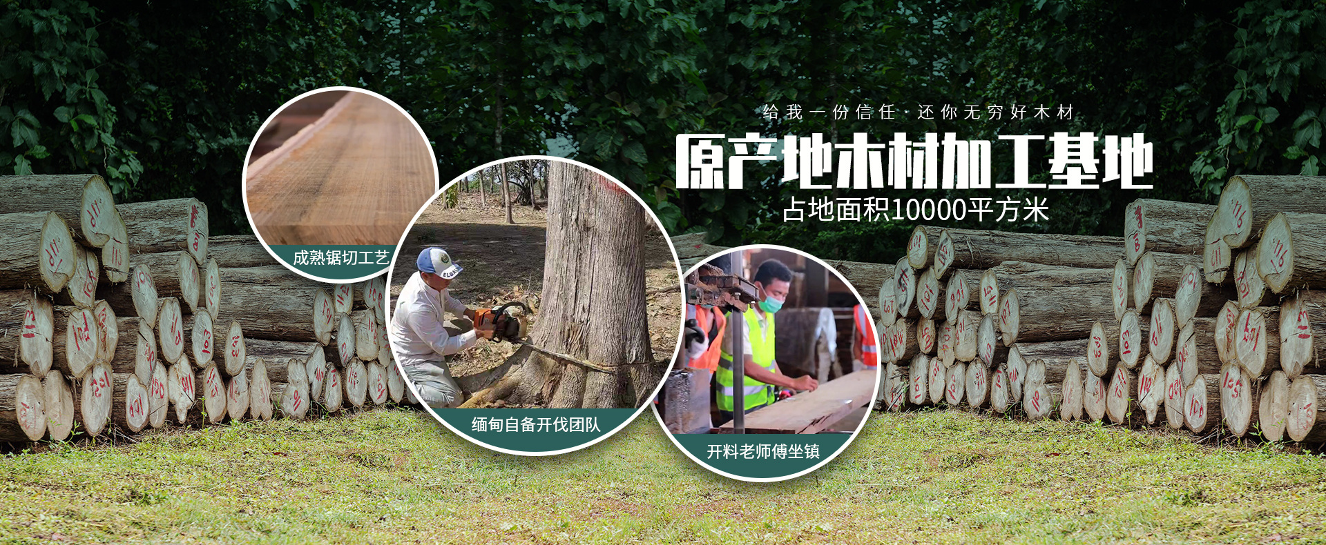 德福林：來自世界的搬運工德福林從原木供應(yīng)到原材成料